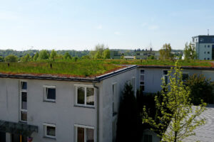 manfaat-green-roof-apartemen